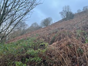 Photo 6- click for photo gallery